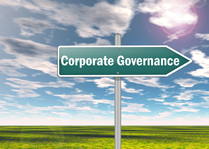The Importance of Year-End Corporate Governance Work