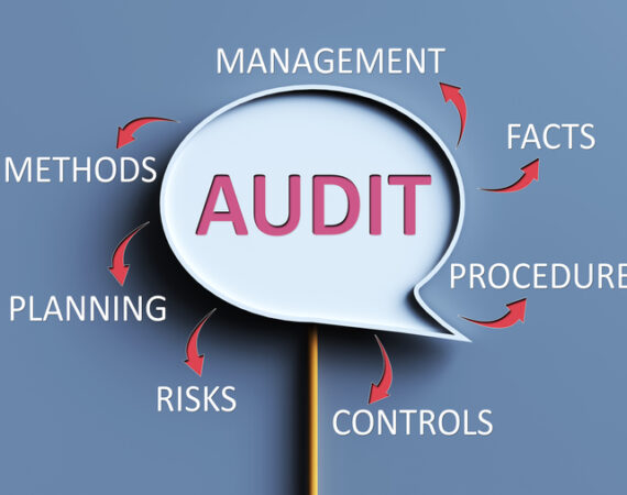 What Does the Recent OTA Ruling Tell You About a California Tax Audit?