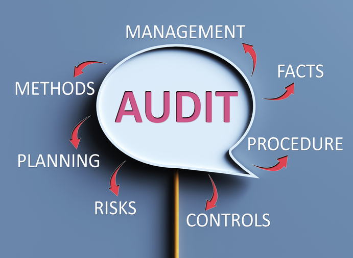 What Does the Recent OTA Ruling Tell You About a California Tax Audit?